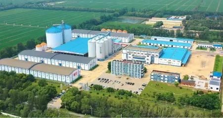 盤錦好糧香飄四海，盛會(huì)讓利惠聚八方——探訪糧食加工食品產(chǎn)業(yè)的“沃土”